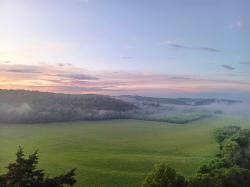 1606 Nosegay Rd White Bluff, TN 37187