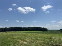 0 Goosepond Road Manchester, TN 37355