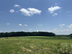 0 Goosepond Road Manchester, TN 37355