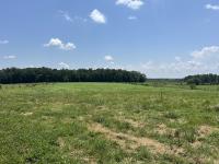 0 Goosepond Road Manchester, TN 37355