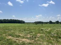 0 Goosepond Road Manchester, TN 37355