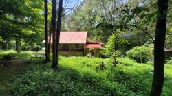 7992 Primm Springs Rd Primm Springs, TN 38476