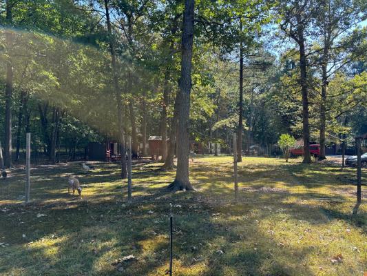 0 Willow Oak Road Manchester, TN 37355