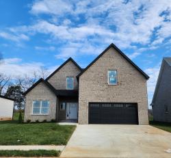 427 Blue Ridge Ct Clarksville, TN 37043