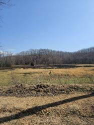 1246 Sulphur Creek Rd Centerville, TN 37033