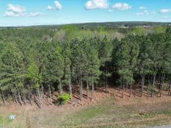 3261 Crockett Point Jasper, TN 37347