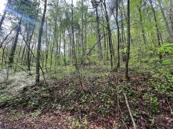 112 Bear Den Trl Grandview, TN 37337