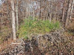 2930 Smyrna Heights Road Evensville, TN 37332