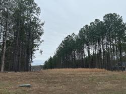 1080 Crockett Loop Jasper, TN 37347