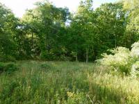 2098 60th Ave S Gruetli Laager, TN 37339
