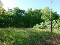 2098 60th Ave S Gruetli Laager, TN 37339