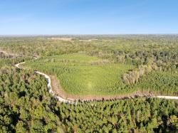 0 Cox Hollow Rd Dover, TN 37058