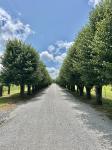 100 Shelton Ln Manchester, TN 37355
