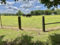 100 Shelton Ln Manchester, TN 37355