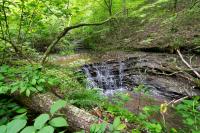 100 Shelton Ln Manchester, TN 37355
