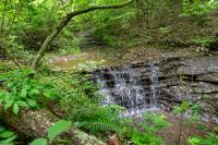 100 Shelton Ln Manchester, TN 37355