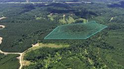 0 Cox Hollow Rd Lot 25 Dover, TN 37058
