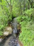 0 Crews Hollow Road Manchester, TN 37355