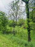 0 Crews Hollow Road Manchester, TN 37355