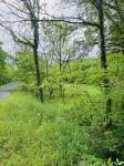 0 Crews Hollow Road Manchester, TN 37355
