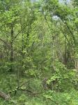 0 Crews Hollow Road Manchester, TN 37355