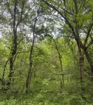 0 Crews Hollow Road Manchester, TN 37355