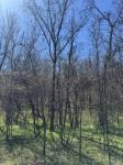 0 Crews Hollow Road Manchester, TN 37355
