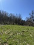 0 Crews Hollow Road Manchester, TN 37355