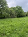 0 Crews Hollow Road Manchester, TN 37355