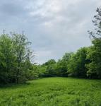 0 Crews Hollow Road Manchester, TN 37355