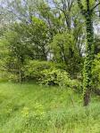 0 Crews Hollow Road Manchester, TN 37355