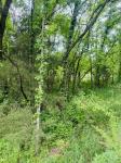0 Crews Hollow Road Manchester, TN 37355