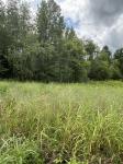 0 Fredonia Rd Manchester, TN 37355