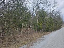 1 Love Branch Rd  Tract 1 Hampshire, TN 38461