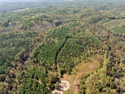 0 Cox Hollow Rd Dover, TN 37058
