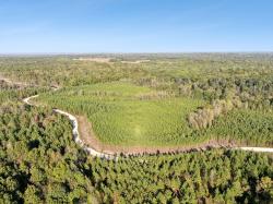0 Cox Hollow Rd Dover, TN 37058