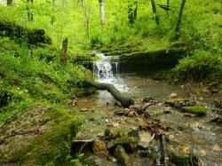 0 Sycamore Valley Rd Pleasant Shade, TN 37145