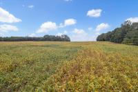 0 Nor Nan Rd Decherd, TN 37324