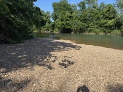 3740 Dancer Branch Rd Stewart, TN 37175