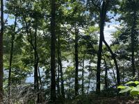 126 Trotters Cir Estill Springs, TN 37330