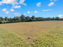 4002 Sledge Christiana, TN 37037