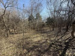 0 Epps Rd Southside, TN 37171