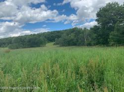 0 County Line Road Laceyville, PA 18623