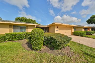 1409 Ingram Drive 75 Sun City Center, FL 33573