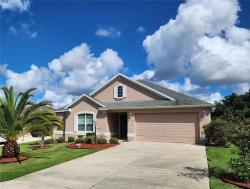 1429 Bluebeard Court The Villages, FL 32163