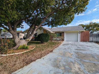 4233 Hillsdale Drive New Port Richey, FL 34652