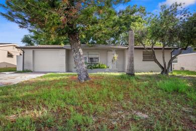 5253 Skyland Drive Holiday, FL 34690
