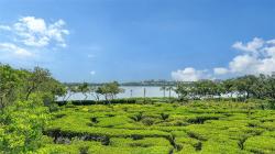 826 Bayport Way 826 Longboat Key, FL 34228