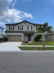 462 Spotted Slipper Place Ruskin, FL 33570