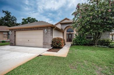 6622 Pine Walk Drive New Port Richey, FL 34655